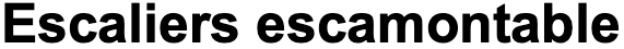 Logo Escaliers Escamotables